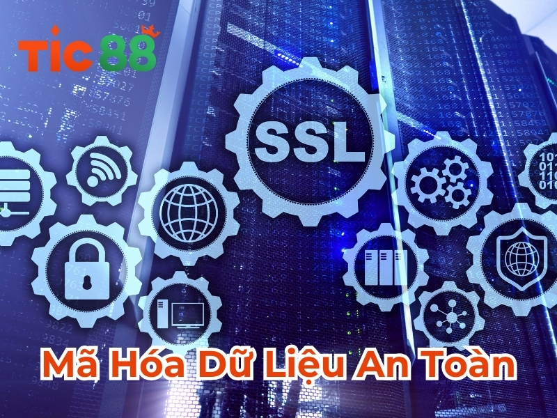 Bảo mật Tic88 - Mã hóa dữ liệu an toàn